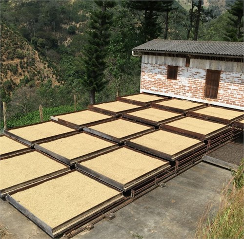 Colombia Finca Las Mercedes Premium 200g 2